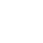 cropped guney logo.png